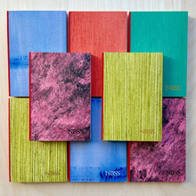 Load image into Gallery viewer, NBSS Red-Edge Notebooks